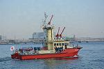 Dcim11899/DSC_5546