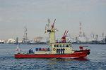 Dcim11899/DSC_5548