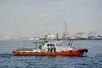 Dcim11899/DSC_5553