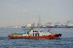 Dcim11899/DSC_5555