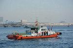 Dcim11899/DSC_5559