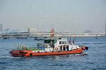 Dcim11899/DSC_5560