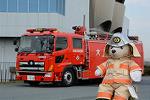 Dcim11901/DSC_5768