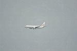 Dcim11901/DSC_5870