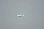 Dcim11901/DSC_5873