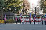 Dcim11902/DSC_4624