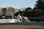 Dcim11902/DSC_4654