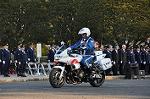 Dcim11904/DSC_4916