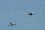 Dcim11906/DSC_5233