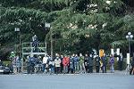 Dcim11907/DSC_5903