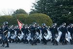 Dcim11907/DSC_5962