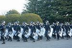 Dcim11908/DSC_5995