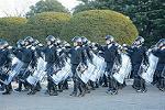 Dcim11908/DSC_6010