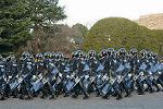 Dcim11908/DSC_6012