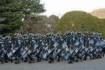 Dcim11908/DSC_6013