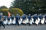 Dcim11908/DSC_6034