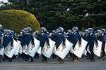 Dcim11908/DSC_6035