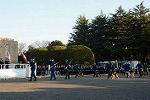 Dcim11909/DSC_6182