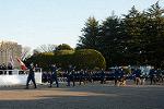 Dcim11909/DSC_6183