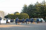 Dcim11909/DSC_6187