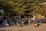 Dcim11909/DSC_6202