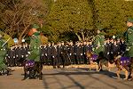 Dcim11909/DSC_6205
