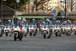 Dcim11910/DSC_6239