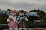 Dcim11922/DSC_5793