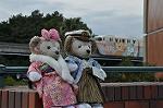 Dcim11922/DSC_5807
