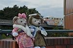 Dcim11922/DSC_5808