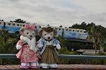Dcim11922/DSC_5831