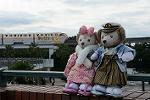 Dcim11923/DSC_7724