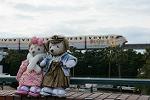 Dcim11923/DSC_7727