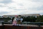 Dcim11923/DSC_7730