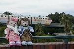 Dcim11923/DSC_7734