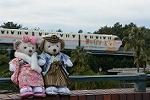 Dcim11923/DSC_7738