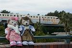 Dcim11923/DSC_7739