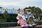 Dcim11923/DSC_7768