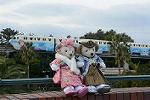 Dcim11923/DSC_7777