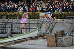Dcim11929/DSC_8617