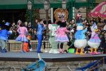 Dcim11930/DSC_8742