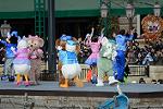 Dcim11930/DSC_8752