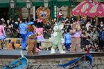 Dcim11930/DSC_8773
