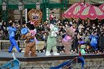 Dcim11930/DSC_8777