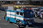 Dcim11934/DSC_5911