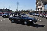 Dcim11935/DSC_6050