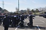 Dcim11936/DSC_6181