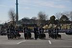 Dcim11936/DSC_6233