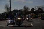 Dcim11936/DSC_6249
