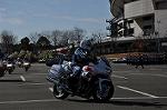 Dcim11936/DSC_6259